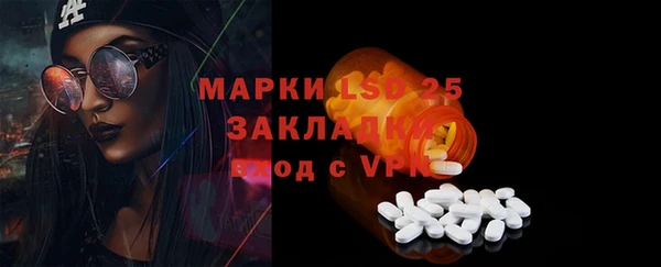 прущие грибы Волоколамск