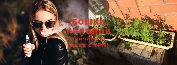 прущие грибы Волоколамск