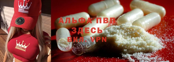 амф Володарск