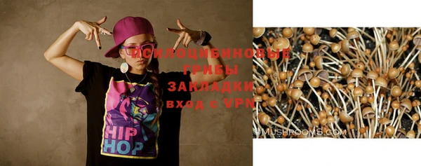 таблы Верхний Тагил