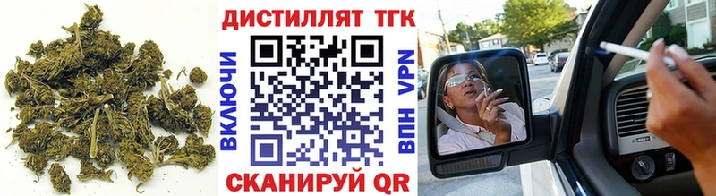 закладка  Игарка  ТГК концентрат 