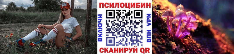 Псилоцибиновые грибы Cubensis  Игарка 